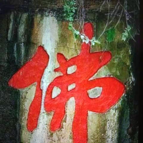 醉 荷