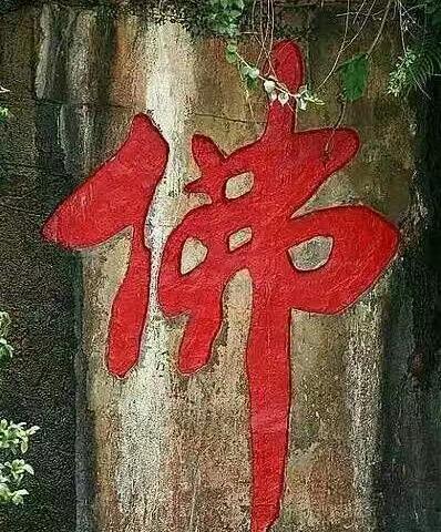 萌 荫 滴 小 和 尚