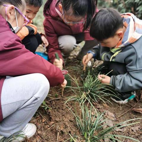 植树节快乐👏👏👏