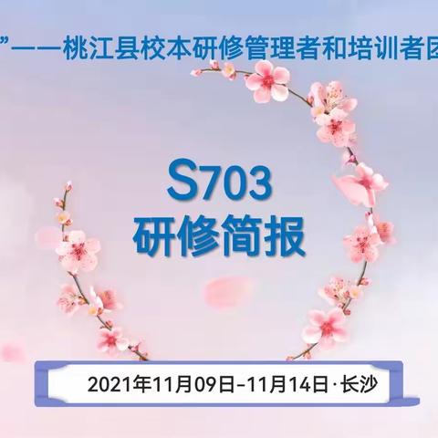 S703的美好记忆