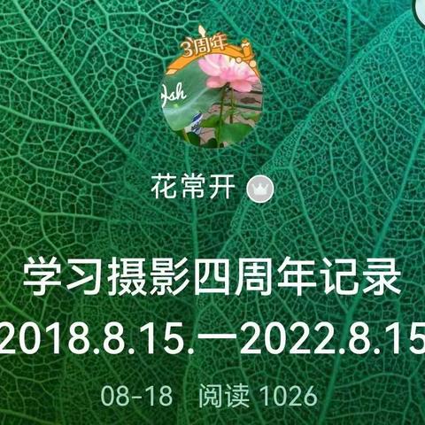 学习摄影四周年记录2018.8.15.一2022.8.15﻿