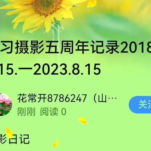 学习摄影五周年记录2018.8.15.一2023.8.15﻿