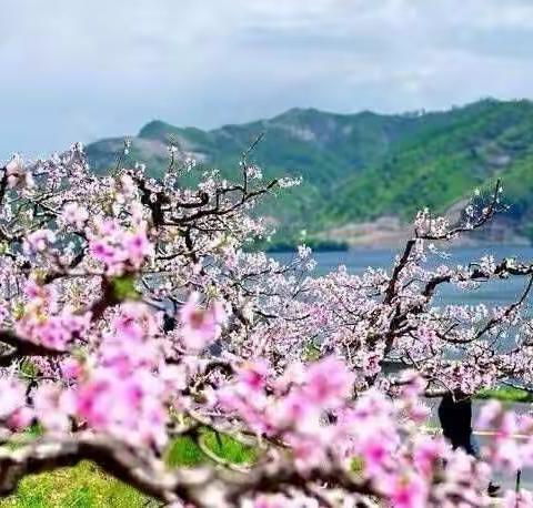 三生三四，向阳盛开