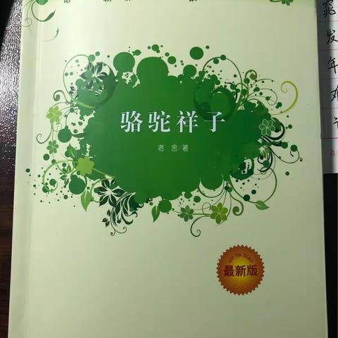 段亚娟2018年1月28日段亚娟阅读《骆驼祥子》读书笔记及练字