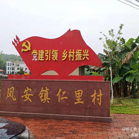 过凤安仁里村