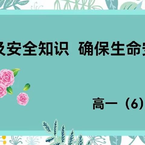 乌鲁木齐市第41中学高一6班     安全知识主题班会