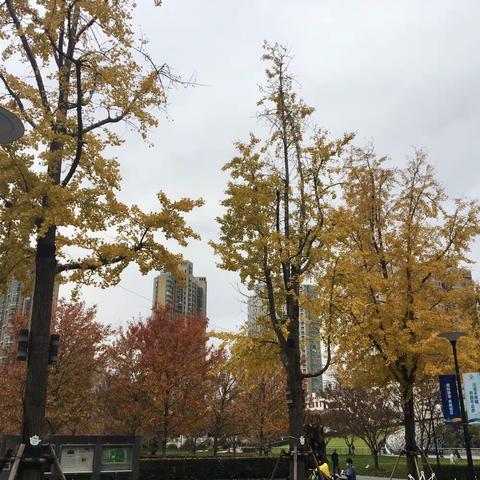 近日之静安雕塑公园