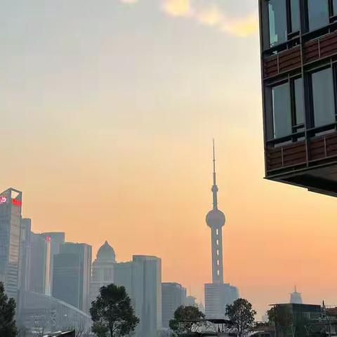 北外滩及大楼下的港湾