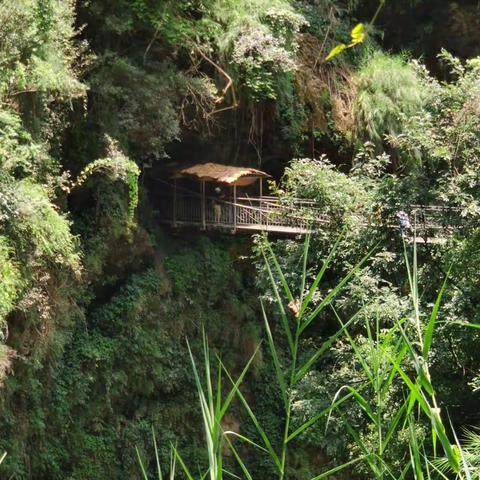 欢聚安顺快乐游2019👣👏