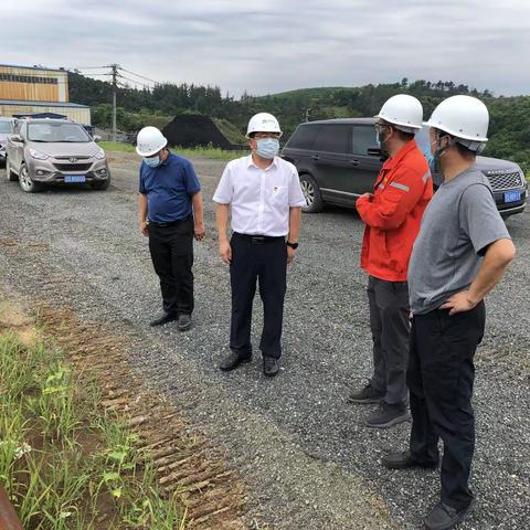 区委书记张玉良带队开展安全生产  防汛防疫工作调研