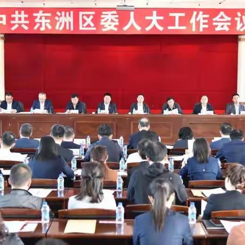 中共东洲区委召开人大工作会议