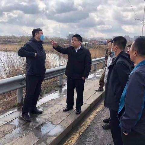 坚持严查严办  推动立行立改 东洲区扎实做好中央生态环境保护督察边督边改工作