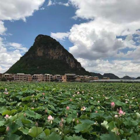 介绍云南美泰及砚山周末之旅