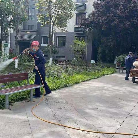 2区管家曹芳工作周报