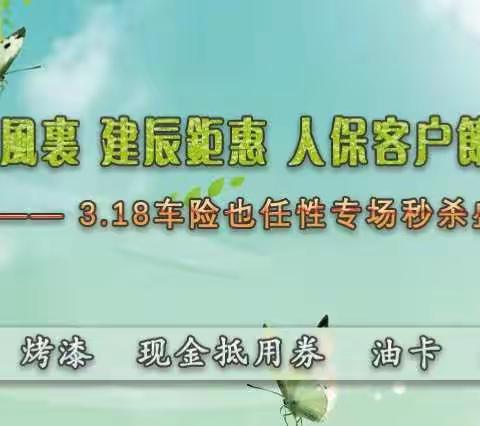 三月春风里建辰钜惠人保客户节 --车险也任性专场秒杀盛宴