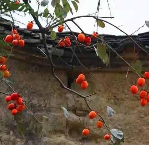 诗画梅湾山水游