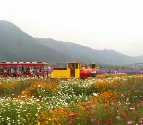 笕川小火车快来乘坐体验吧！