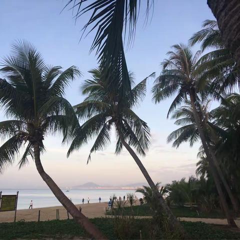 三亚湾的风景