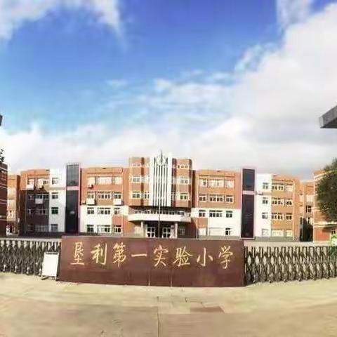 垦利区第一实验小学“基于核心素养的蕴内涵育情怀”暨刘术红名师工作室读书沙龙活动