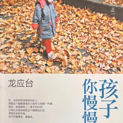 《孩子，你慢慢来》读书分享