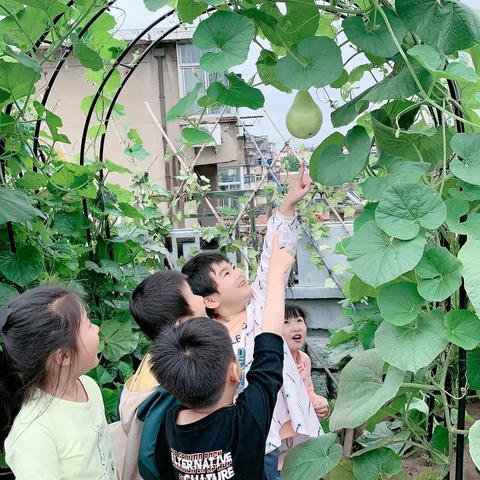 “一颗种子的旅行”