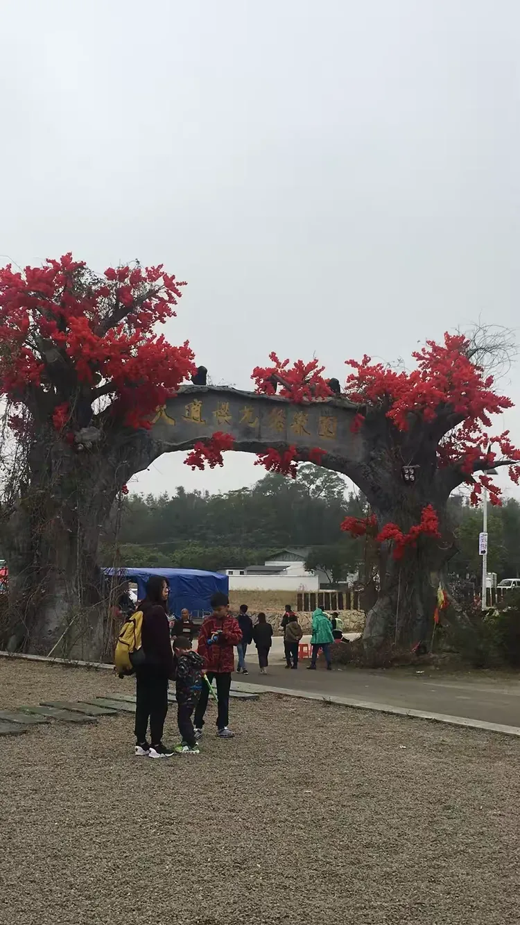 香港迪士尼乐园同赤坭志惠农场2019年新年第一天游