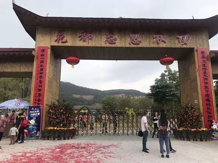 香港迪士尼乐园同赤坭志惠农场2019年新年第一天游