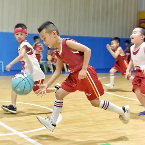 🏀🏀🏀茂名童幻华蒙星体育最新幼儿篮球课程进驻博贺镇小海贝幼儿园🎉🎉🎉