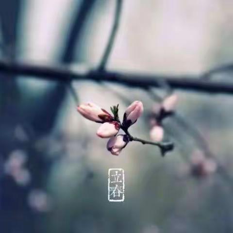 春到人间草木知~普兰店区幼儿园中二班
