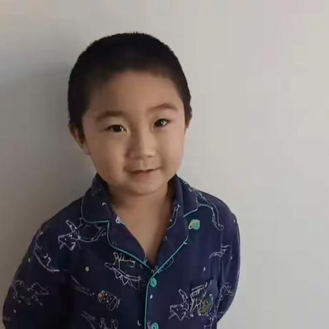 愿春风不寒  疫散花开 ～普兰店区幼儿园中二班清明节活动小记