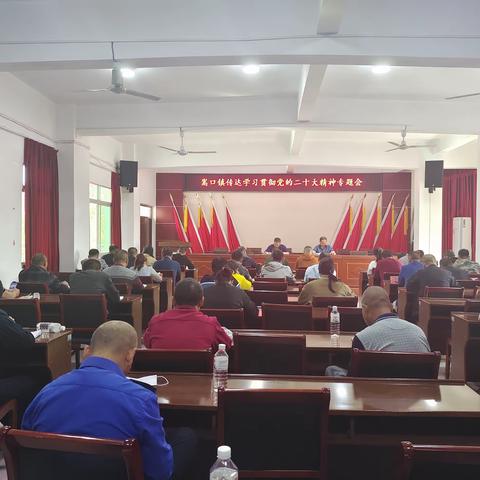 嵩口镇召开传达学习贯彻党的二十大精神专题会