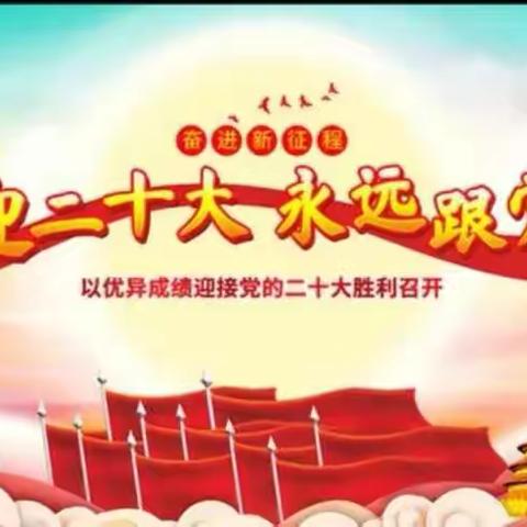 东湖幼教“两新”党组织第十二联合支部、豫章街道办下沙窝社区新时代文明实践站喜迎二十大 永远跟党走主题活动