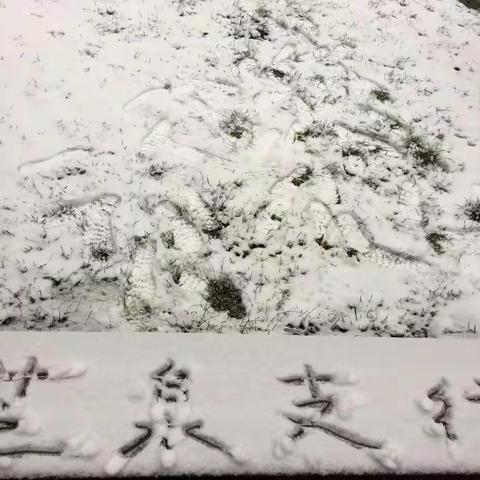 市南二芝泉路支行“快乐在工行”系列活动之雪地上撒点野