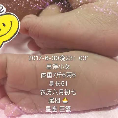 小葡萄成长记