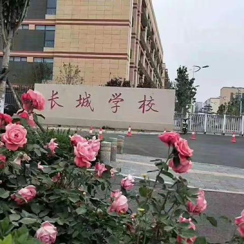 长城学校六三班2020暑假学习日常（三）