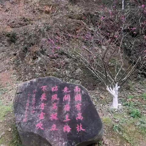 2022粤北五日休闲游小记