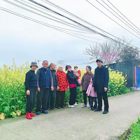 油菜花开遍地黄，亲人相聚一堂欢
