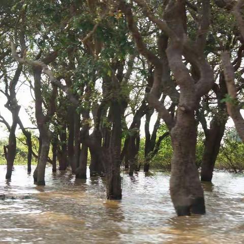 空邦鲁的美丽与哀愁