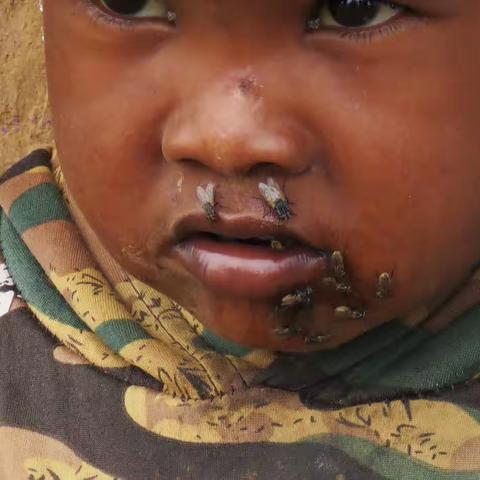 过目难忘——马赛人