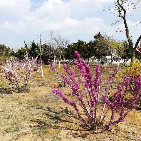胶东半岛花式游