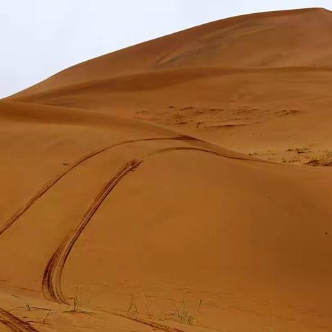 巴丹吉林雨中游