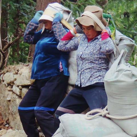 哈尼女子，今天过节吗？