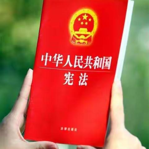 深入学习宣传习近平法治思想  大力弘扬宪法精神——邹城市看庄镇看庄小学“宪法宣传周”系列活动