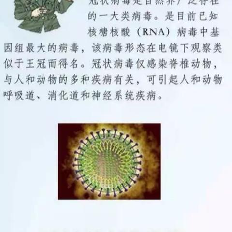 疫情当前，我们可以怎么做？