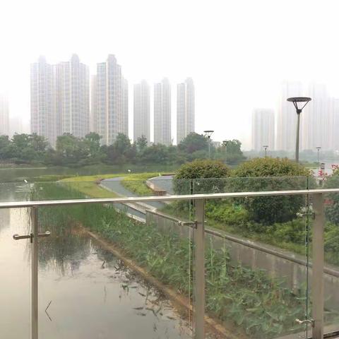 雨游梅溪湖……😄😄😄