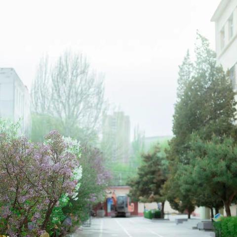 胜利中路小学英语展示季