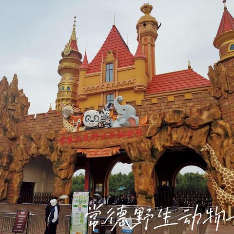 赏牡丹看萌宠～汉寿野生动物世界（2023年第7期总22期）