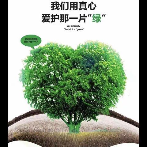 《青春正当时》