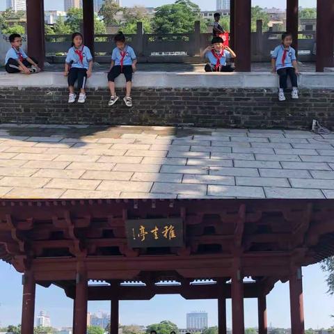 缤纷盛夏   快乐成长—— 建业城小学（一）3班第四小组 “爱家乡  做主人”暑期实践活动 走进——仓巷街