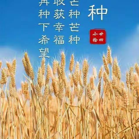 ““芒种芒种”🌾🌾幸福播种”——鄠邑区玉蝉中心幼儿园“芒种”节气活动简讯